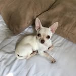 Teddy Taylor - @teddyhas2mums - Instagram
