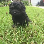 teddy taylor - @teddy_taylor - Instagram