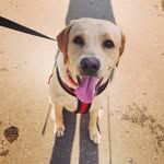 Teddy Taylor - @teddingtonbear_ - Instagram