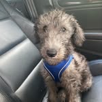 Teddy Taylor - @teddy_taylor22 - Instagram