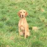 Teddy Taylor - @teddyonthelevels - Instagram