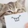 200_______________🚗0 lets go - @teddytiger_21489 - TikTok