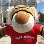 Teddy The Tiger - @teddytravels2016 - Instagram