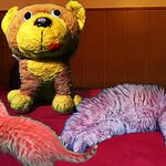 Teddy Tiger - @charlesfernandez233 - Instagram