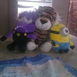 Teddy Tiger - @tiger.teddy - Instagram