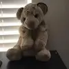 Teddy Tiger - @teddytiger1988 - TikTok