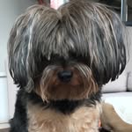 Teddy Tiger Jones - @teddytigerjones - Instagram