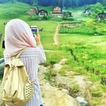 @tiger_teddy__ - Instagram