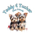 Teddy & Tucker - @little.teddy.tucker - Instagram