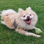 Teddy Tucker - @teddysfabuloustrousers - Instagram
