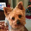 Teddy Tucker - @teddytuckerov - TikTok