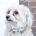 Teddy Tucker - @teddys.bloops - Instagram