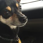 Teddy Tucker - @teddy.tucker - Instagram