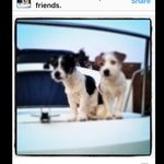Teddy_tucker__ - @teddy_tucker___ - Instagram