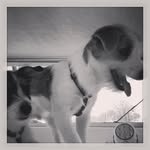 @teddy_tucker__ - Instagram
