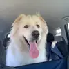 Teddy Tucker - @teddytuckerr - TikTok