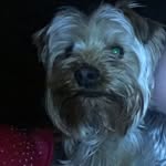 Teddy Tucker Harris - @tbucket15 - Instagram