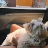 teddytucker - @teddyxtucker - TikTok