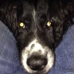 Ted Turner - @teddy_turner - Instagram