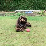 Teddy Turner - @teddyturner20 - Instagram