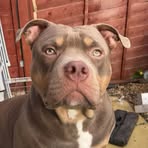 Teddy Turner - Facebook