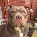 Teddy Turner - @teddy.turner22 - Instagram