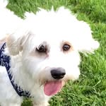 Teddy Turner - @teddy_turner2019 - Instagram