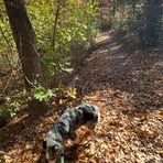 Teddy Turner - Facebook