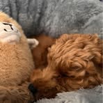 Teddy Turner - Facebook