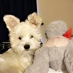 Teddy Turner - @teddygram5218 - Instagram