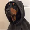 TEDDY.WANG - @teddy.wang - TikTok