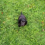 Teddy Warren-Westgate - @teddy.winkle - Instagram