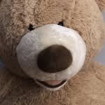 TeddyWeady - @teddy_webby14 - Instagram