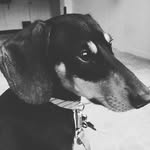 Teddy West - @west.teddy - Instagram