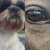 Teddy West - Facebook