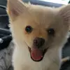 TeddyWest - @teddywesst - TikTok