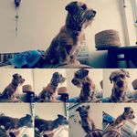 Teddy Williamson - @_.teddy._.williamson._ - Instagram