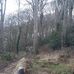 Teddy Bear Woods - Facebook