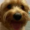 Teddy woods - @teddy.woods11 - TikTok