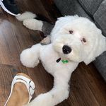 Teddy Woods - @teddywoods_oes - Instagram