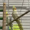 Teddy Woods - @teddy.woods1 - TikTok