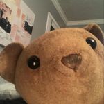 Tedi Lee - @the.tedibear - Instagram