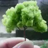 Tedi Lee - @tedi.lee0 - TikTok