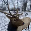 Tee Man 007 - @tee.man.007 - TikTok