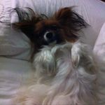 Teena Wright - @teenalwright - Instagram