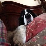 teena wright RN.😻🐶 - @wrightonq - Instagram