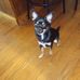 Teesha Smith - Facebook