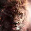 joemama - @teghsingh - TikTok