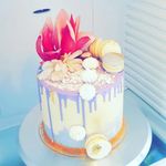 Tegan Baker - @bakerbakernz - Instagram