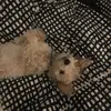 Tiggy - @teganbaker_x - TikTok